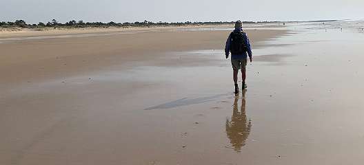 332: IMG_0870<br>  2019-02-23