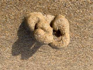 333: IMG_0872<br>  2019-02-23