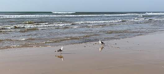 334: IMG_0873<br>  2019-02-23