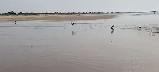 335: IMG_0874<br>  2019-02-23