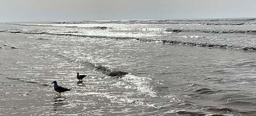 336: IMG_0875<br>  2019-02-23