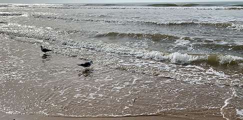 337: IMG_0876<br>  2019-02-23