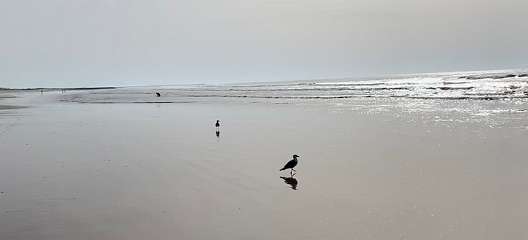 338: IMG_0877<br>  2019-02-23