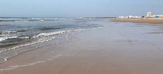 339: IMG_0879<br>  2019-02-23