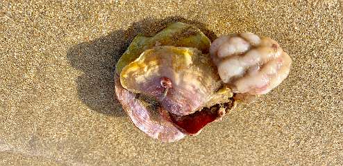 340: IMG_0880<br>  2019-02-23