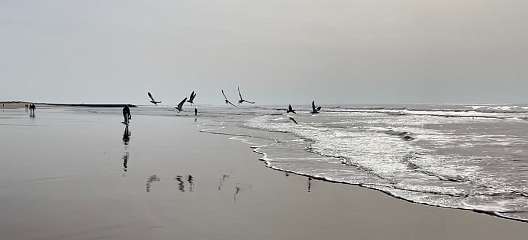 341: IMG_0884<br>  2019-02-23