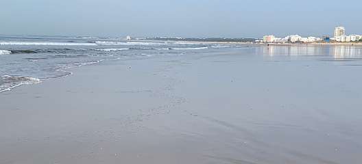 342: IMG_0887<br>  2019-02-23