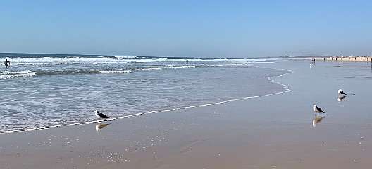 343: IMG_0898<br>  2019-02-25