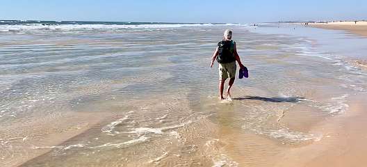 345: IMG_0902<br>  2019-02-25