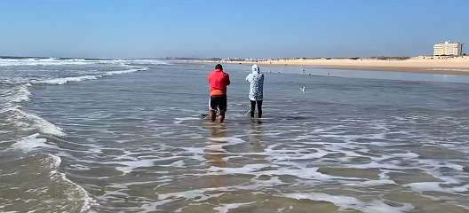 346: IMG_0904<br>  2019-02-25