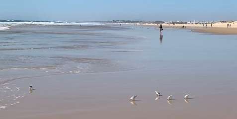 347: IMG_0911<br>  2019-02-25