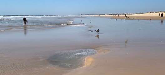 348: IMG_0915<br>  2019-02-25