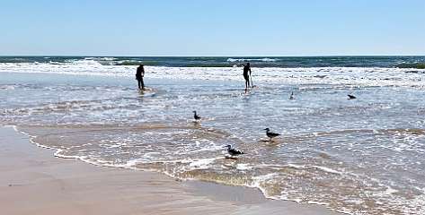 349: IMG_0919<br>  2019-02-25