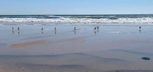 350: IMG_0930<br>  2019-02-25