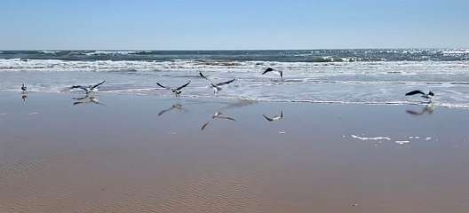 351: IMG_0933<br>  2019-02-25