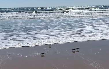 352: IMG_0939<br>  2019-02-25