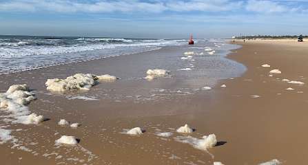 353: IMG_0943<br>  2019-02-26