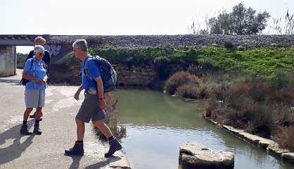 361: c8da6b8e-0226-4012-aed0-03d86ffb9d8e<br>