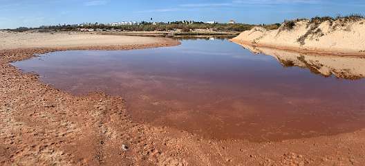 150: IMG_1914<br>  2019-12-23