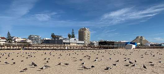 151: IMG_1920<br>  2019-12-25