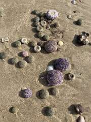 152: IMG_1921<br>  2019-12-25