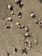 153: IMG_1922<br>  2019-12-25