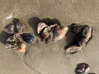 154: IMG_1923<br>  2019-12-25