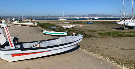 159: IMG_1944<br>  2019-12-28