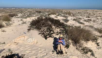 163: IMG_1949<br>  2019-12-28