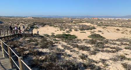 168: IMG_1954<br>  2019-12-28