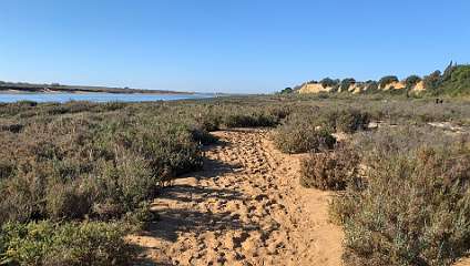 174: IMG_1962<br>  2019-12-30