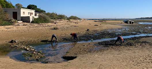 177: IMG_1967<br>  2019-12-30