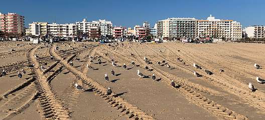 181: IMG_1975<br>  2019-12-31