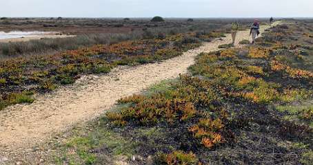 13: IMG_1994<br>  2020-01-03