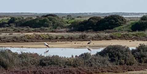 14: IMG_1995<br>  2020-01-03