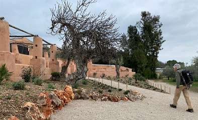 16: IMG_1997<br>  2020-01-03