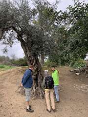 18: IMG_2001<br>  2020-01-03