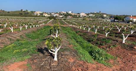 19: IMG_2010<br>  2020-01-06