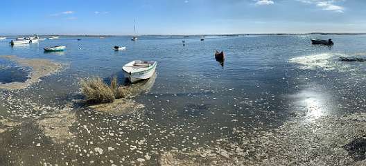 24: IMG_2018<br>  2020-01-09