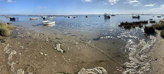 25: IMG_2019<br>  2020-01-09