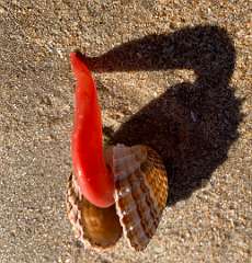 29: IMG_2030<br>  2020-01-11