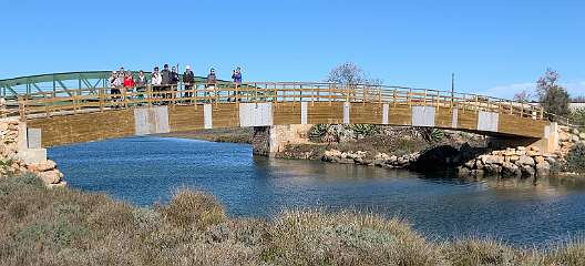 30: IMG_2087<br>  2020-01-20