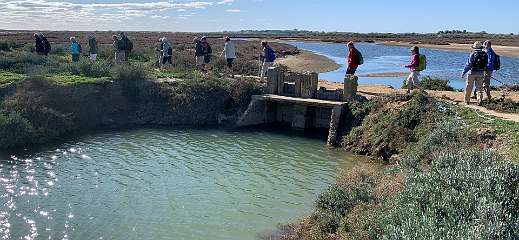 31: IMG_2094<br>  2020-01-20