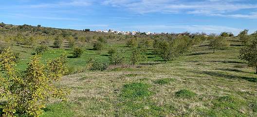 39: IMG_2105<br>  2020-01-21