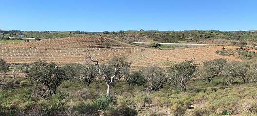 40: IMG_2106<br>  2020-01-21