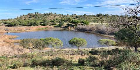 41: IMG_2107<br>  2020-01-21