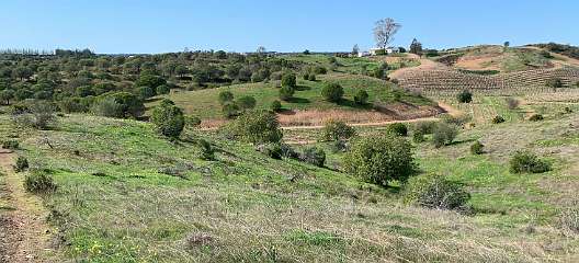 43: IMG_2114<br>  2020-01-21