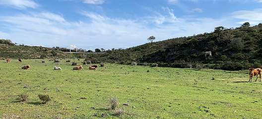 45: IMG_2117<br>  2020-01-21