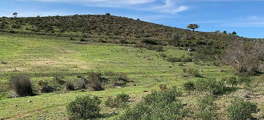 46: IMG_2118<br>  2020-01-21