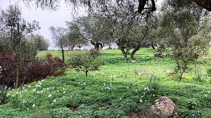 48: IMG_2123<br>  2020-01-24